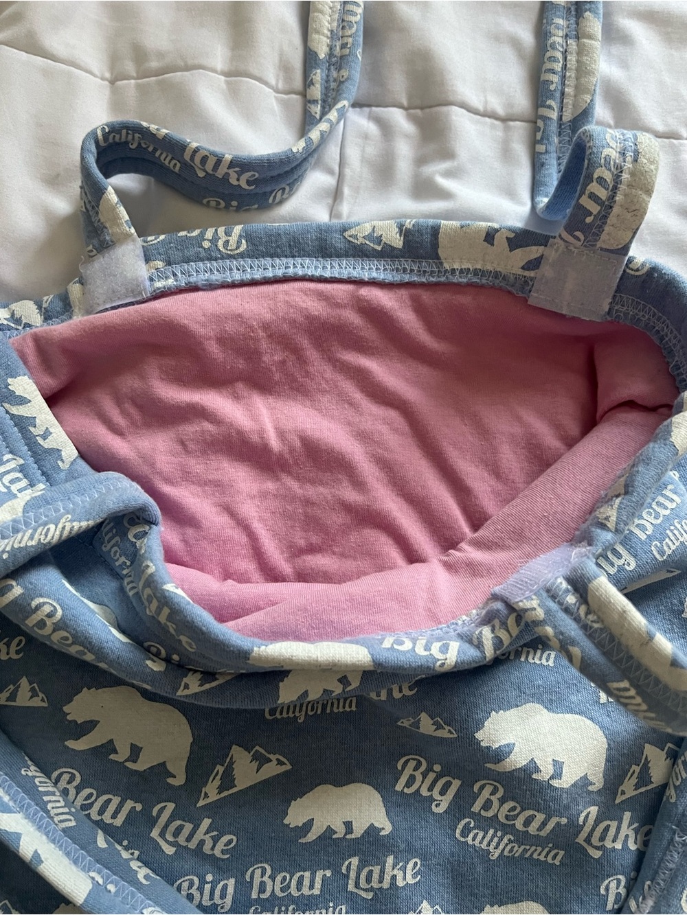 Source Unknown Blue and Pink Big Bear Lake Canvas Tote
